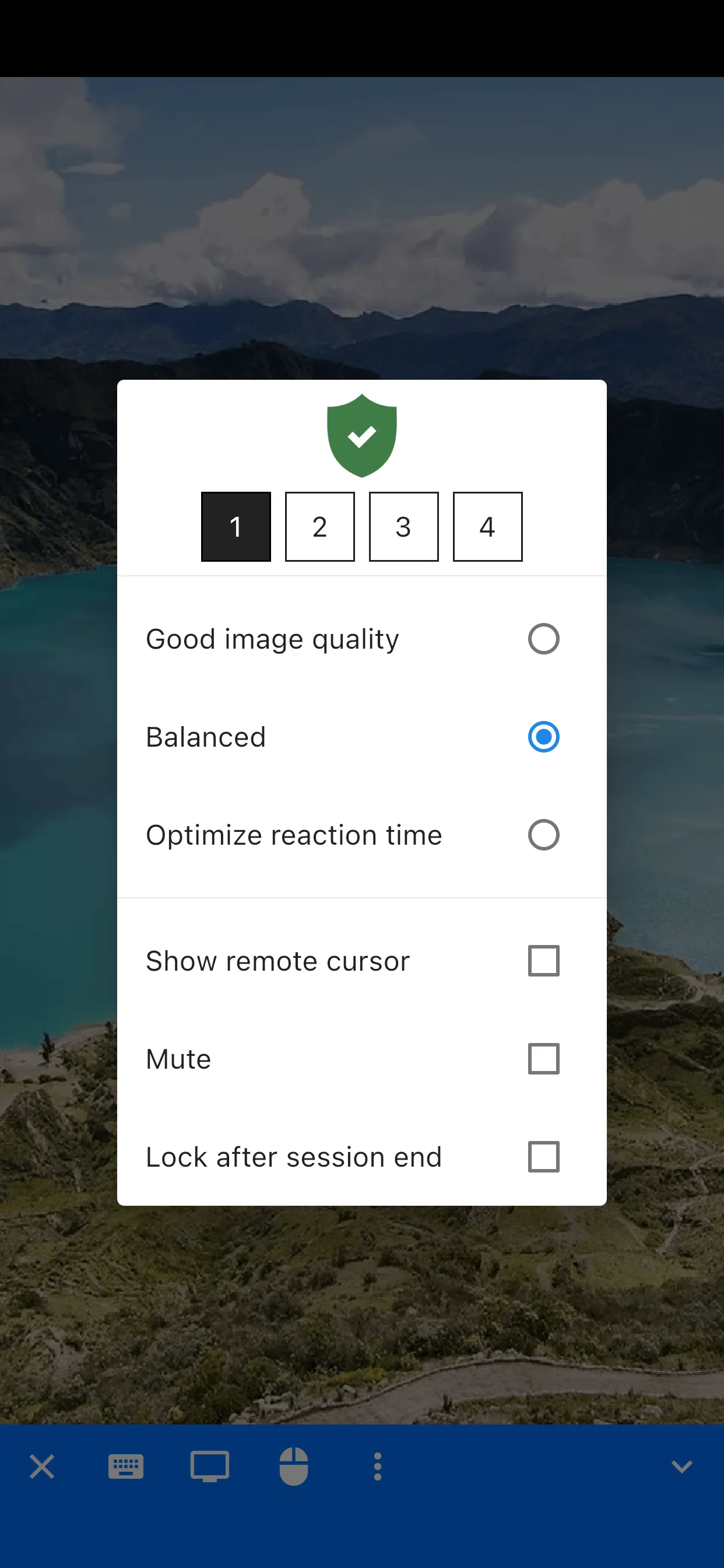 RustDesk screenshot 2