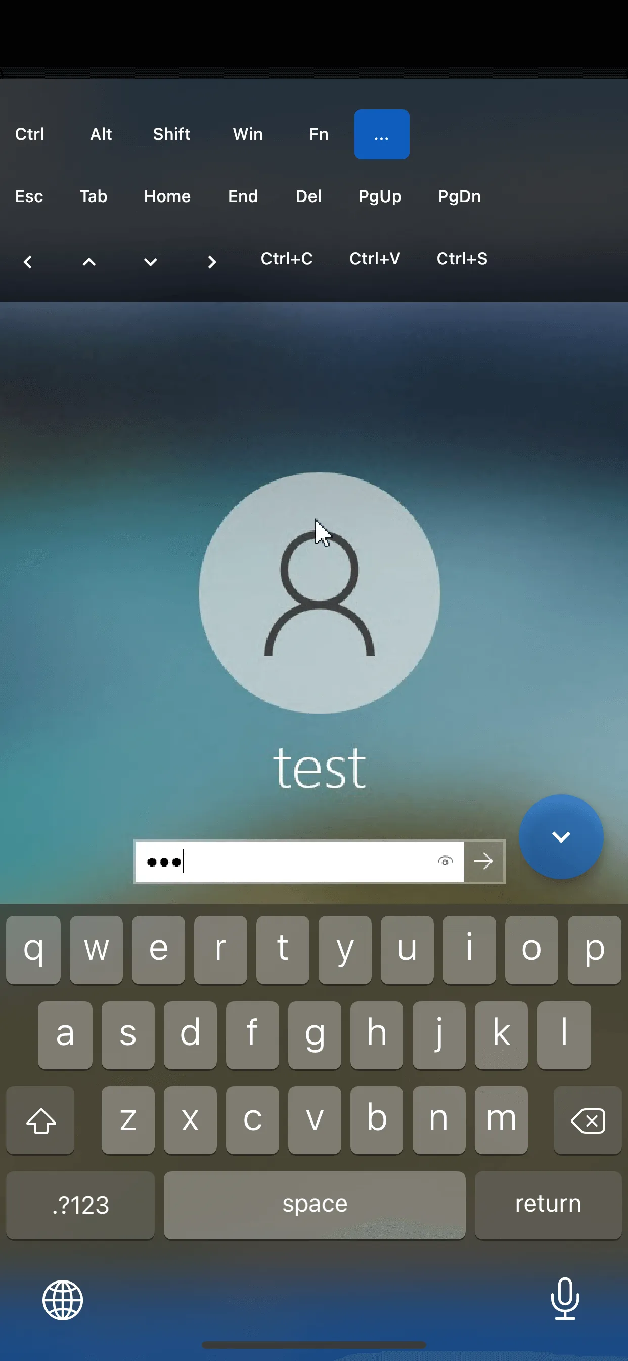 RustDesk screenshot 3