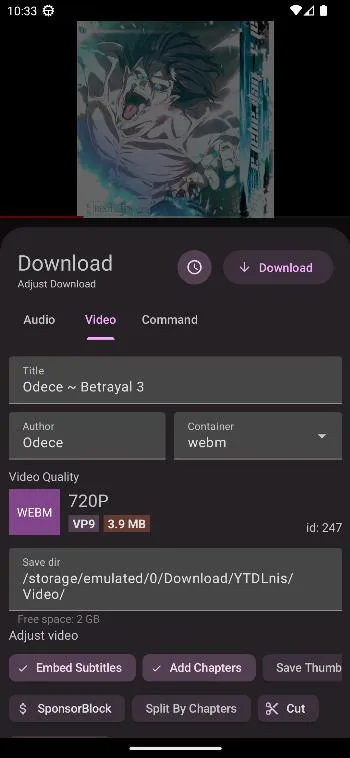 YTDLnis screenshot 3