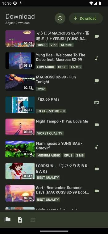 YTDLnis screenshot 4