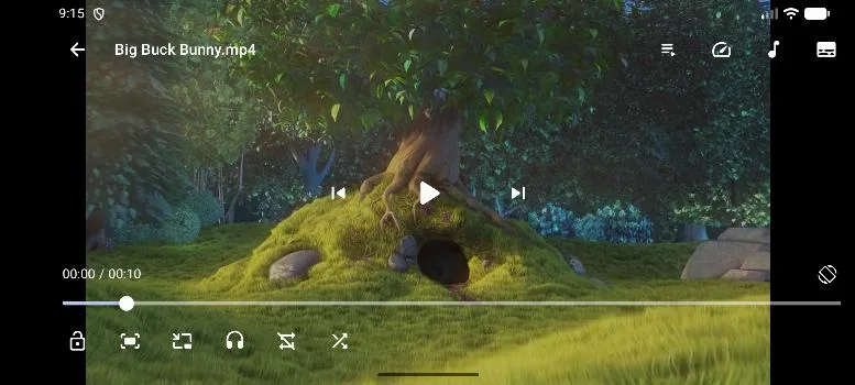Next Player screenshot 5