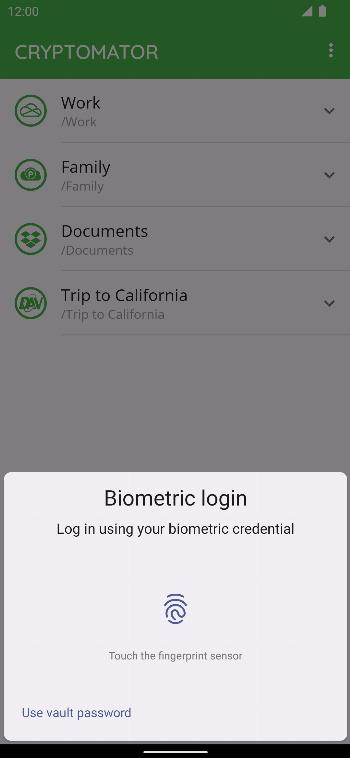 Cryptomator screenshot 4