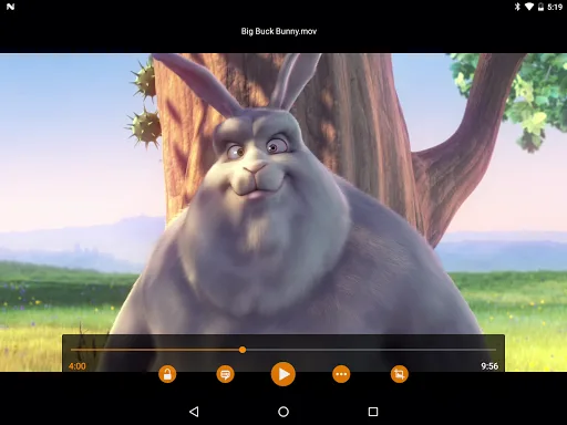 VLC screenshot 1