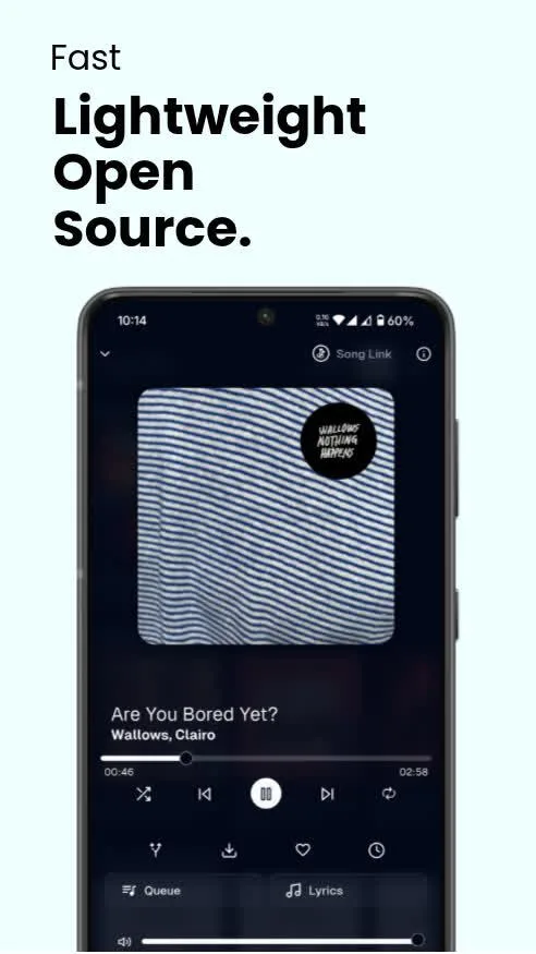 Spotube screenshot 2